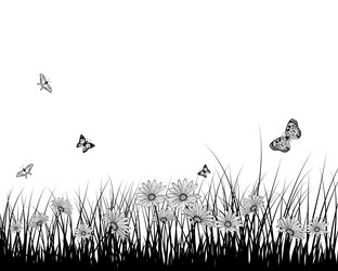 Similar image 11076102