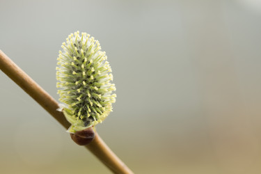 Similar image 11051152