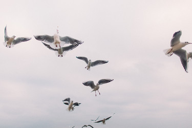 Similar image 11147609