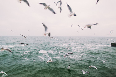 Similar image 11147611