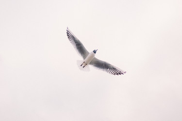 Similar image 11147253