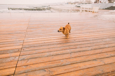 Similar image 11147254