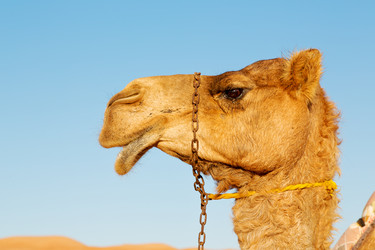 Similar image 11067815