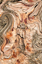 Similar image 11067828