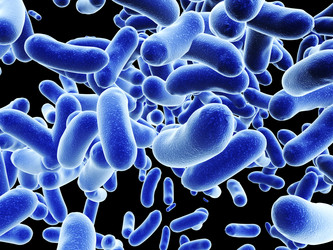 Similar image 11138175