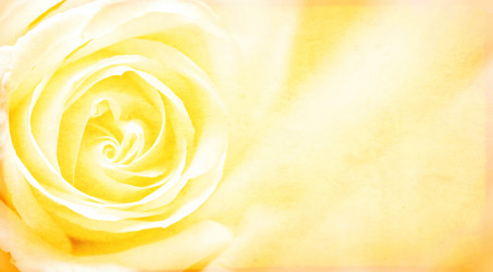 Similar image 11138197