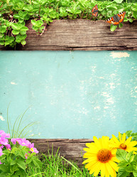 Similar image 11138210