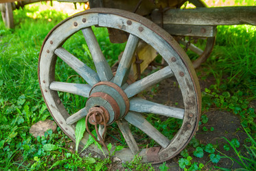 Similar image 11135942