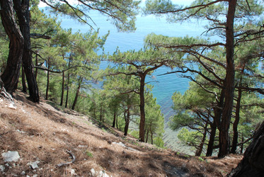 Similar image 11117094