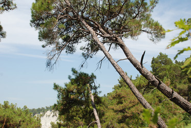 Similar image 11117097