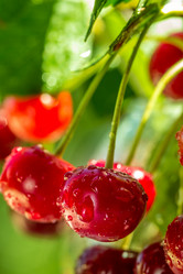 Similar image 11051278