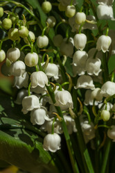 Similar image 11051281