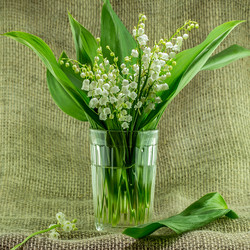 Similar image 11051284