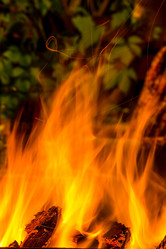 Similar image 11051285