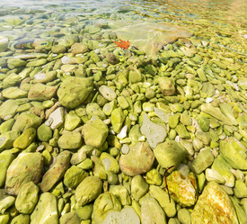 Similar image 11071740