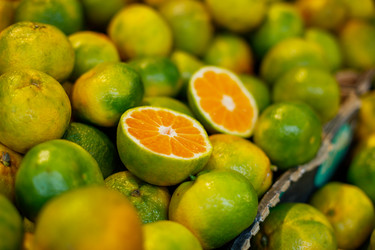 Similar image 11139004