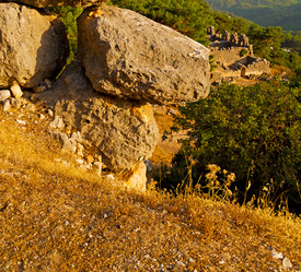 Similar image 11068096