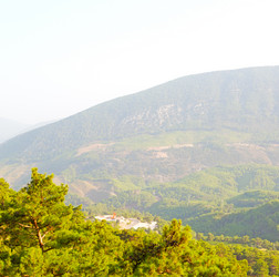 Similar image 11069615