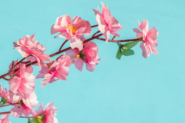 Similar image 11051293