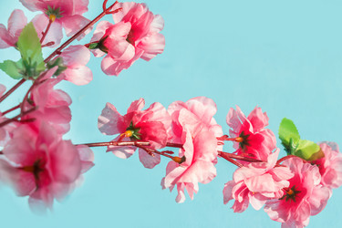 Similar image 11051294