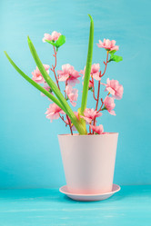 Similar image 11051296