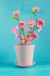 Similar image 11051297