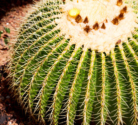 Similar image 11069635