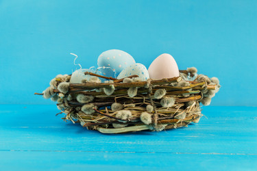 Similar image 11051298