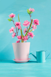 Similar image 11051300