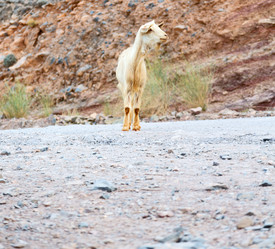 Similar image 11069651