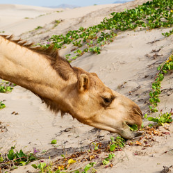 Similar image 11071640