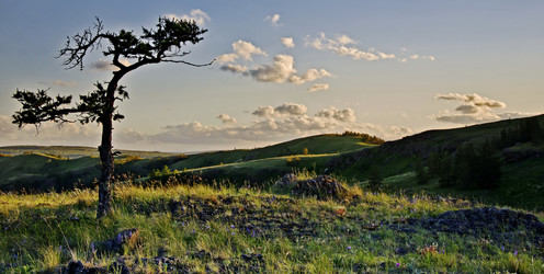 Similar image 11143185