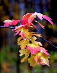 Similar image 11143204