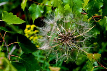 Similar image 11143206