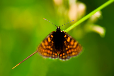 Similar image 11143207