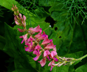 Similar image 11143208