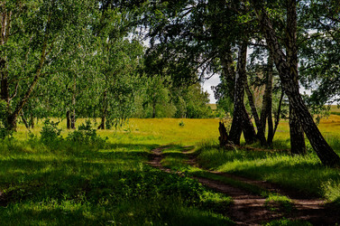 Similar image 11143209