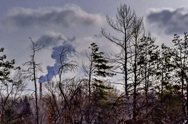 Similar image 11143210