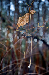 Similar image 11143211