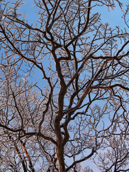 Similar image 11143212