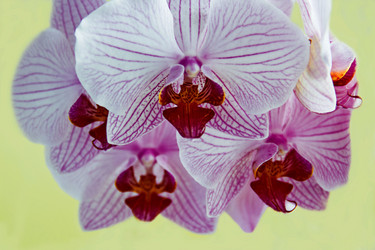 Similar image 11143213