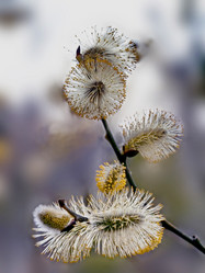 Similar image 11143214