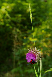 Similar image 11143218