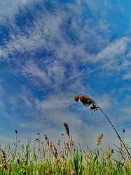 Similar image 11143219