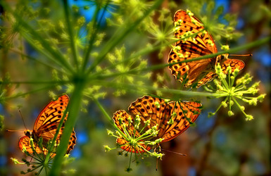 Similar image 11143220