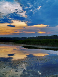 Similar image 11143221