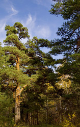 Similar image 11143223