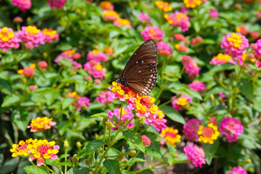 Similar image 11055834