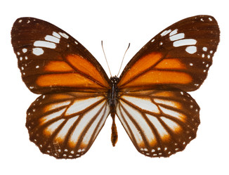 Similar image 11143943