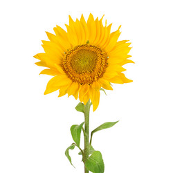 Similar image 11051650